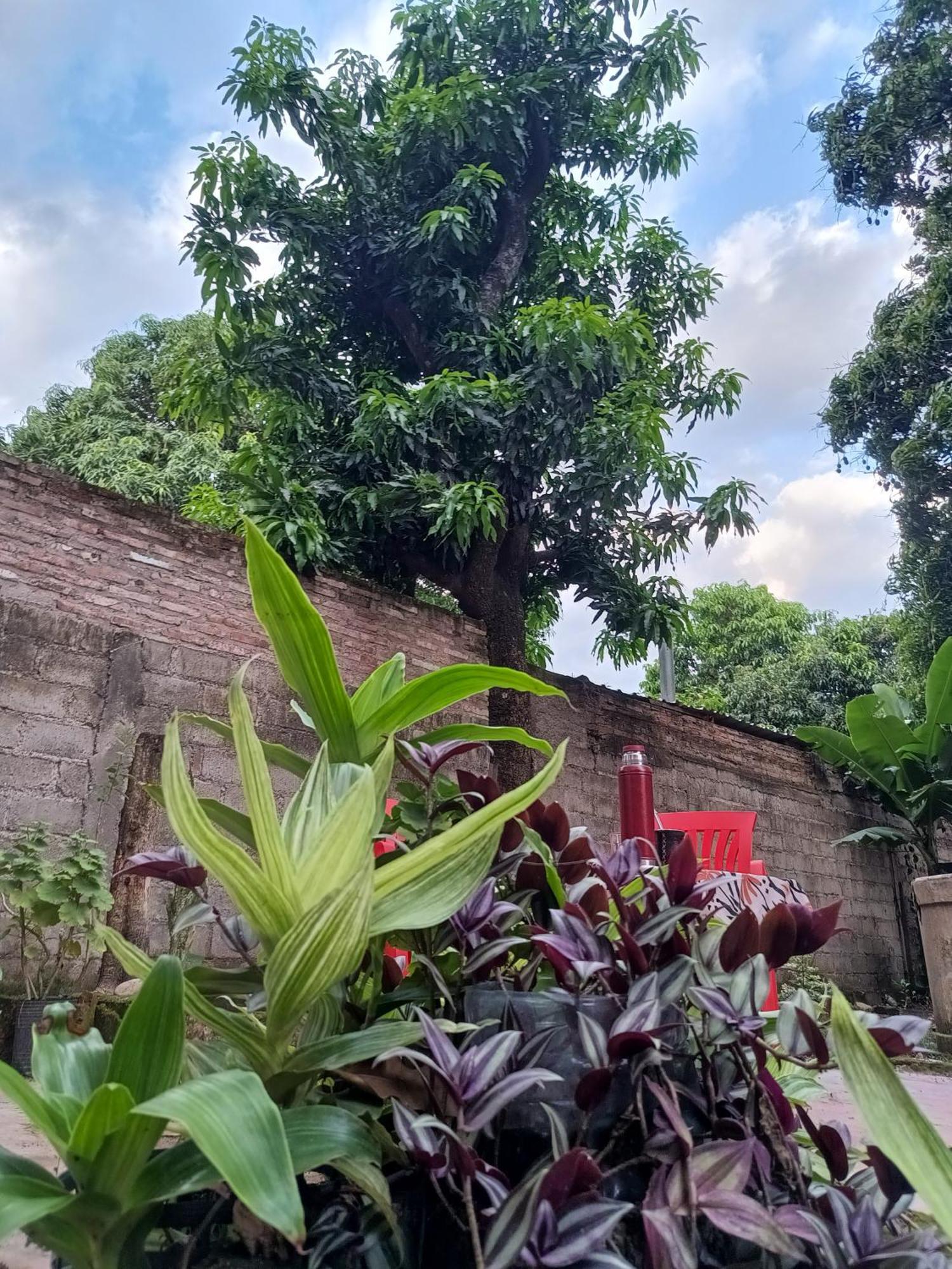 Entre Mangos Y Tucanes Calilegua Bagian luar foto